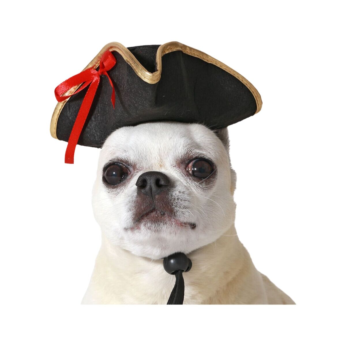 Fancy dress costumes