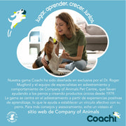 V7H55A2CA2A3A1FF8CC28FECD5951EBF648R3709006P6