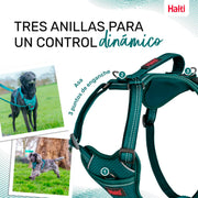 V6HD92681BEB51A15C1082CDC7D81A18DA6R5328489P2