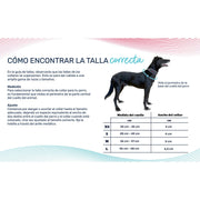 V2H2B49C8B8BDA27F080F29EA194824BA54R7722768P4