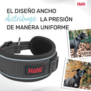 V2H9CE8280CE048AFD0599808A1DB99CA06R7722815P9