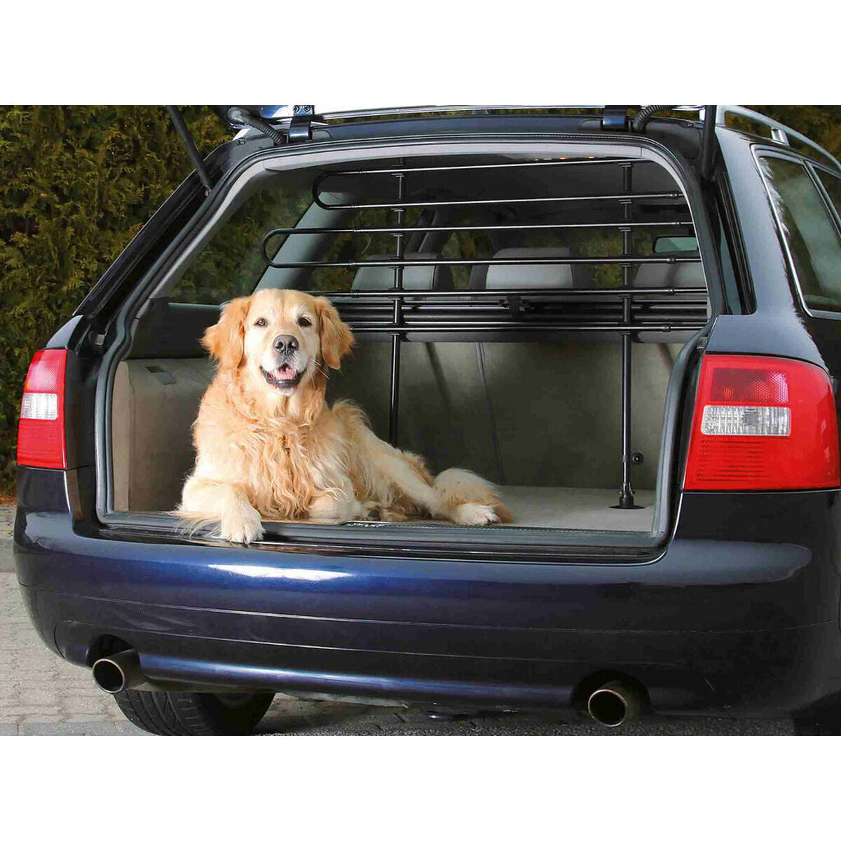 V7H6719591ED89C113B398E47AFB7C5D01DR7442440P3