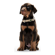 V10H2363A8588ECB826C33C2BF4D709D5E29R6842623P2