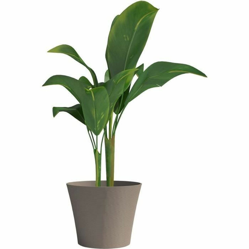 V6HC5D571C3729D643F3A91DA0159579618R5081472P3