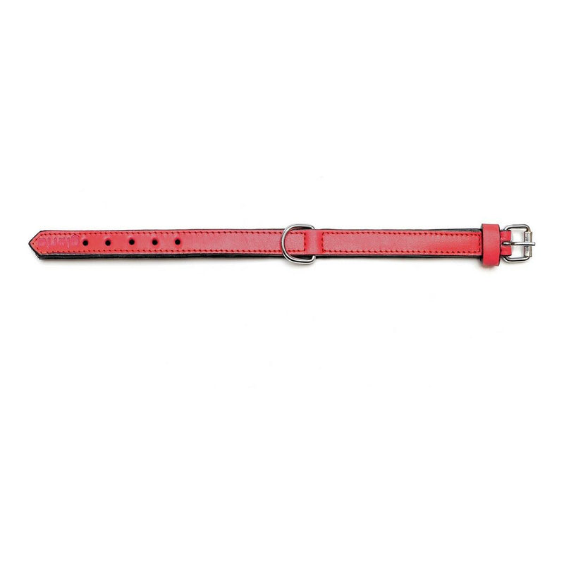 V11H1B36018B5CD4BB145956378E673DA4AER4017916P2